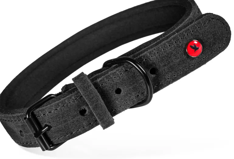 Collier pour chien cuir confort 30mm 63/74 cm noir ZOLUX