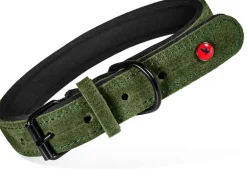 Collier pour chien cuir confort 14mm 23/30cm vert ZOLUX
