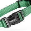 Collier pour chien nylon classique 10mm 21/36 cm sapin ZOLUX