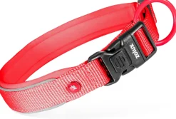 Collier pour chien nylon premium 20mm 40/45 cm rouge ZOLUX