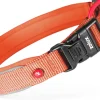Collier pour chien nylon premium 15mm 30/35 cm rouille ZOLUX