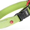 Collier pour chien nylon premium 20mm 40/45 cm kaki ZOLUX
