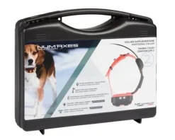 Collier seul Canicom GPS 2