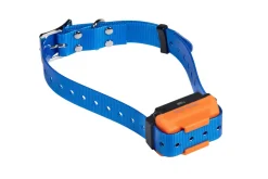 Collier seul Canicom R avec sangle bleue