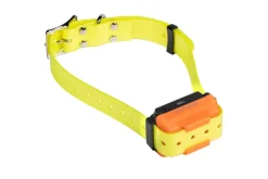 Collier seul Canicom R avec sangle jaune