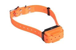 Collier seul Canicom R avec sangle orange