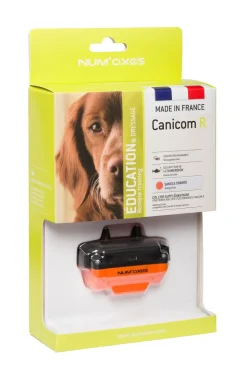 Collier seul Canicom R avec sangle orange