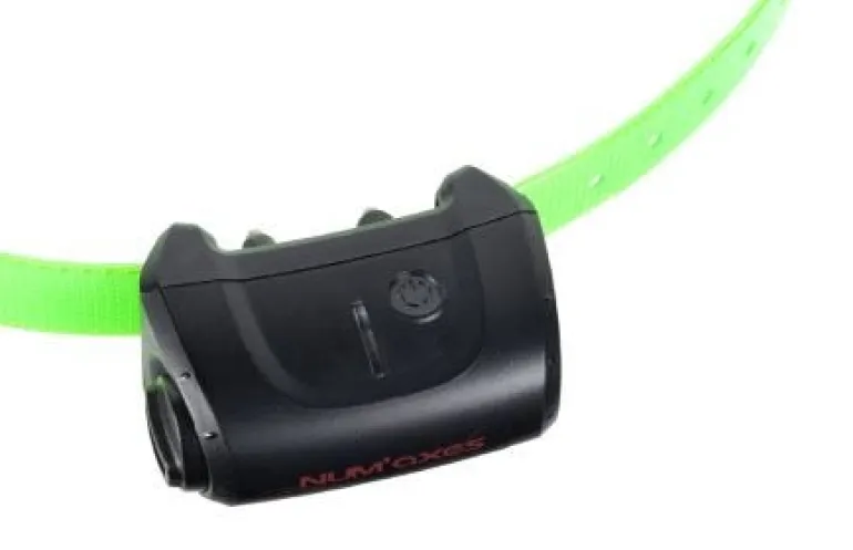 Collier supplémentaire Canicom 5 vert NUM'AXES
