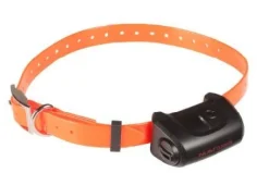 Collier supplémentaire Canicom 5 orange NUM'AXES