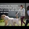 Collier supplémentaire à spray Add a dog