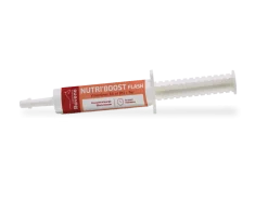 Complément alimentaire boostant Nutri'Boost Flash 30 ml