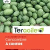 Concombre à confire 0,3g TERAGILE