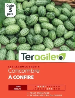 Concombre à confire 0,3g TERAGILE