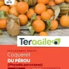 Coqueret de Pérou (Physalis Peruviana) 1g TERAGILE