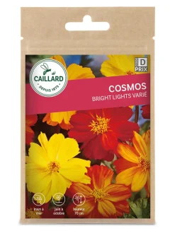 Cosmos Bright Lights Varié 1g CAILLARD