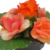Coupe funéraire de roses et d'alstros H 15 Ø 20 cm