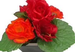 Coupe funéraire de roses et d'alstros H 15 Ø 20 cm