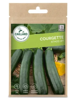 Courgette Athos Hf1 2,5g CAILLARD