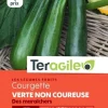 Courgette Verte non Coureuse des Maraîcher 5g TERAGILE
