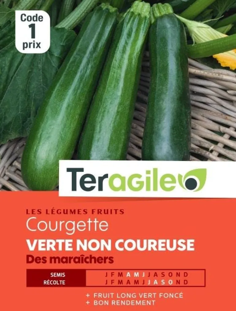 Courgette Verte non Coureuse des Maraîcher 5g TERAGILE