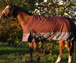 Couverture d'hiver 155 cm PASSIONAL