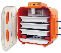 Couveuse Covatutto 162 digital KERBL