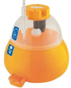 Couveuse Covatutto mini jusqu'à 7 œufs de poule NOVITAL