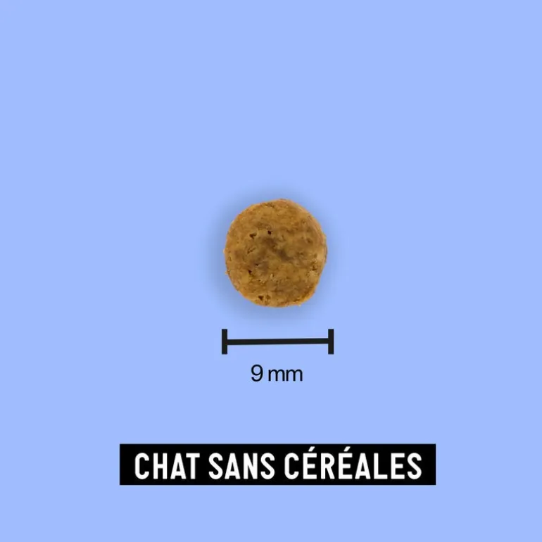 Croquettes aux insectes pour chat sans céréales adulte 2,5kg