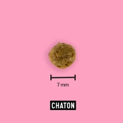 Croquettes aux insectes pour chaton 2,5 kg