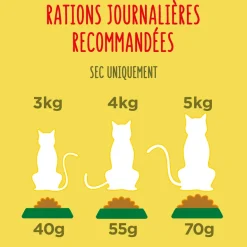 Croquettes pour chat d'intérieur Poulet-Dinde-Légumes 1,5 kg