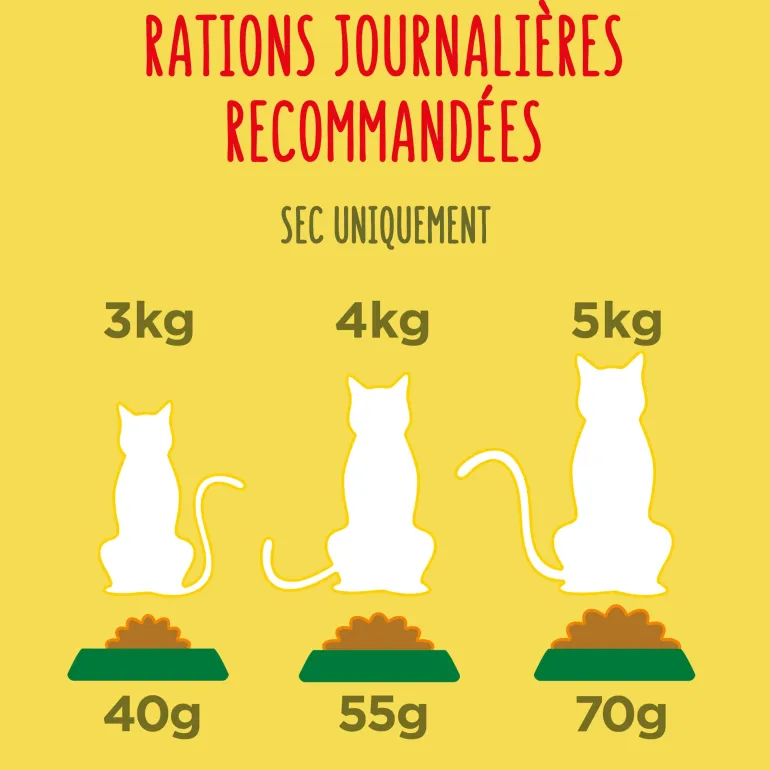Croquettes pour chat d'intérieur Poulet-Dinde-Légumes 1,5 kg