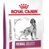 Croquettes pour chien Renal Select 10kg Veterinary