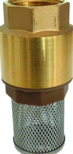 Crépine laiton 1'' avec clapet
