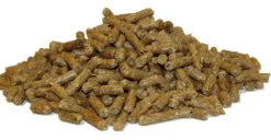 Cubes 25 kg
