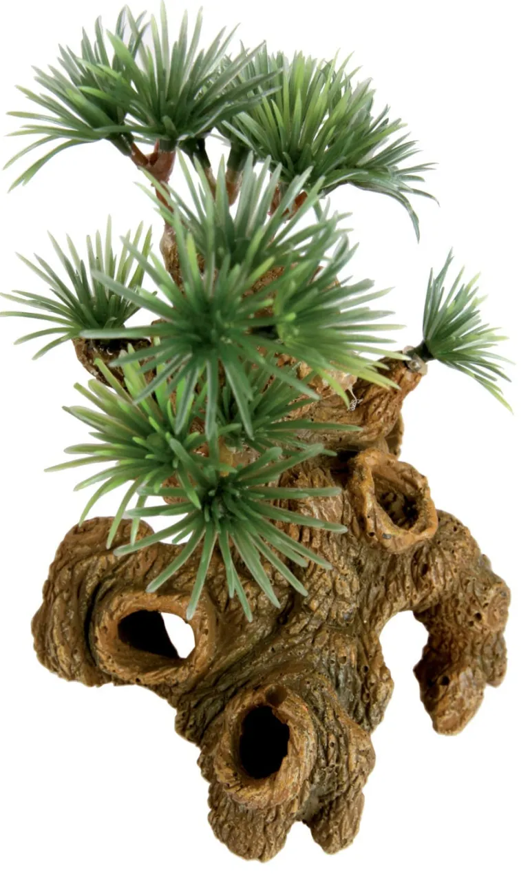 Décoration aquarium bonsaï nano