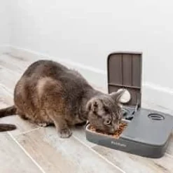 Distributeur automatique pour deux repas