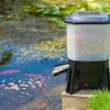 Distributeur automatique/solaire de nourriture pour poissons