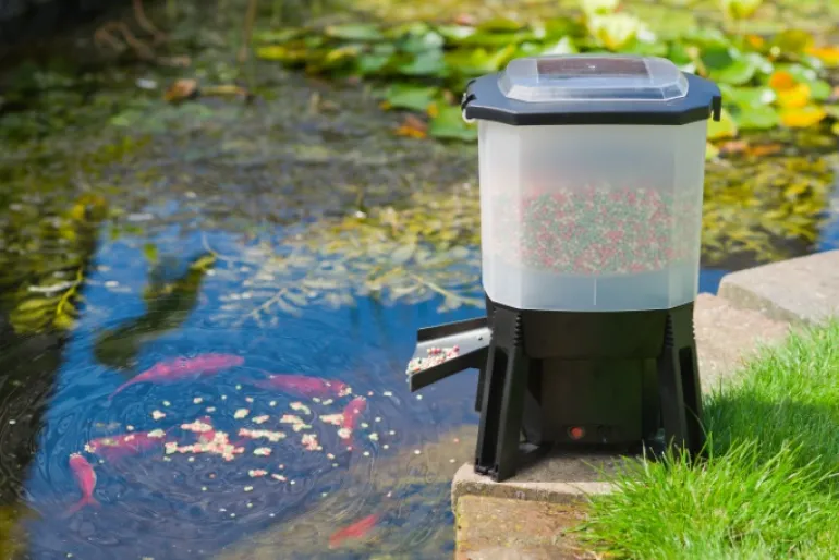 Distributeur automatique/solaire de nourriture pour poissons