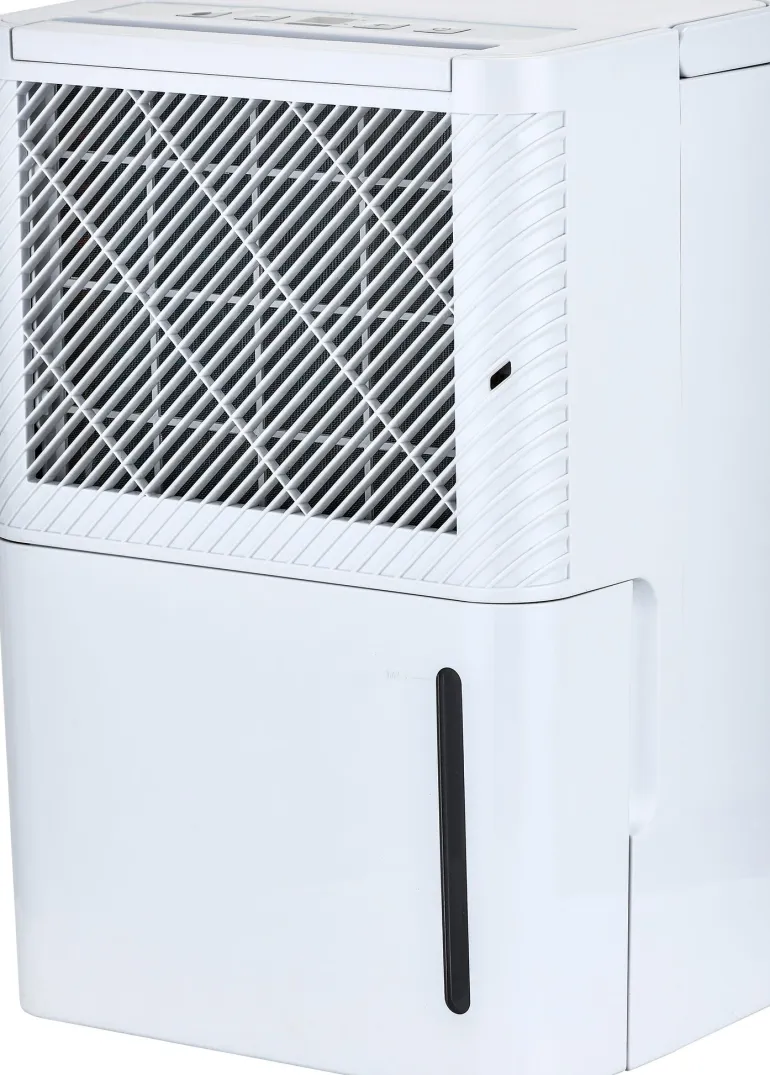 Déshumidificateur d'air AIRDRY 10E 10L/jour 2,2L blanc