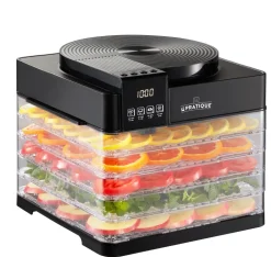 Déshydrateur électrique compact 380 W