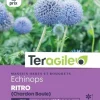 Echinops Ritro (Chardon Boule) 1g TERAGILE