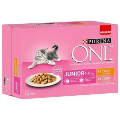 Effilés pour chaton/chatte gestante poulet/saumon 8x85g