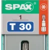 Embout Torx T-STARplus T30 1 pièce
