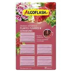 Engrais en bâtonnet spécial géraniums/plantes fleuries (x30)