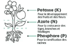 Engrais gazon cyanamide calcique 8kg 250m² TERAGILE