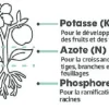 Engrais gazon longue durée 5kg 200m² TERAGILE