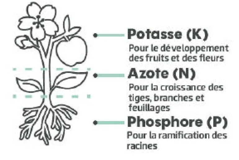 Engrais gazon UAB 10kg 330m² TERAGILE
