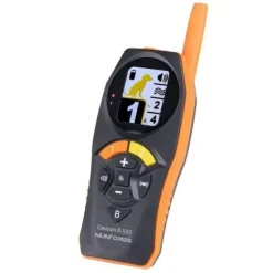 Ensemble de dressage Canicom R-500 - 1 chien