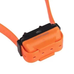 Ensemble de dressage Canicom R-500 - 1 chien