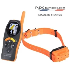 Ensemble de dressage Canicom R-500 - 1 chien